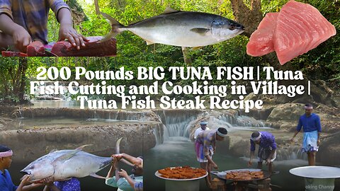 200 Pounds BIG TUNA FISH |