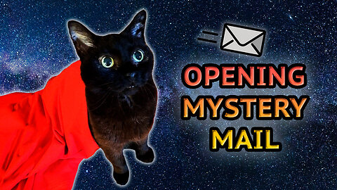 Vilma Cat Opens Her First Mail Ever