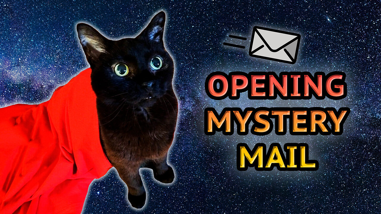 Vilma Cat Opens Her First Mail Ever