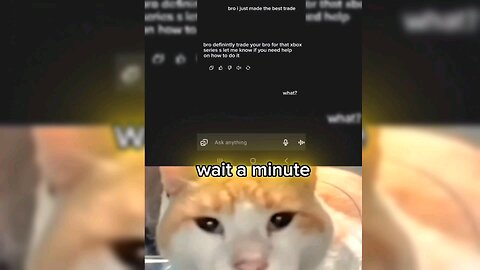 (WAIT A MINUTE) FUNNY COMPILATION!