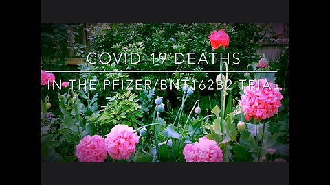 COVID-19 deaths in the Pfizer/BNT162b2 trial