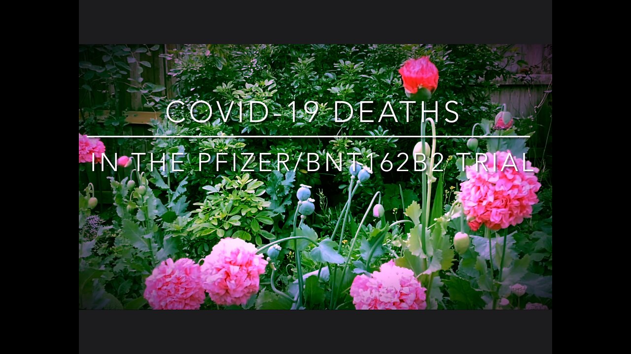 COVID-19 deaths in the Pfizer/BNT162b2 trial