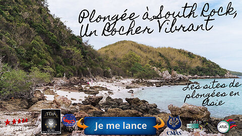 🌸 Plongée à South Rock, Koh Larn, Pattaya : Un Rocher Vibrant de Vie à l'Extrême Sud
