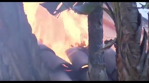[Nov 3, 2017] CA "Smart Fires": INTruthbyGrace Explains Microwave Laser Technology Likely Used [inTruthbyGrace] [aplanetruth.info]