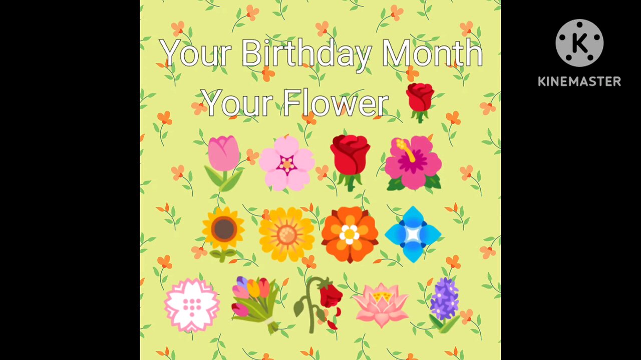 Your Birth Month Your Flower