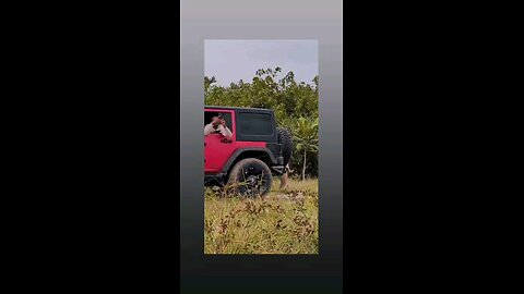 वीरे मेरी भी सेल्फी ले ले