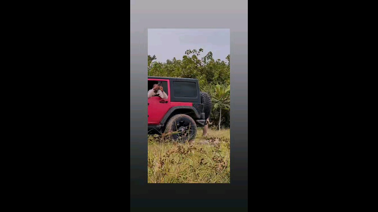 वीरे मेरी भी सेल्फी ले ले