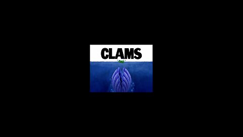Spongebob Squarepants Clams. Thursday, August 7, 2025