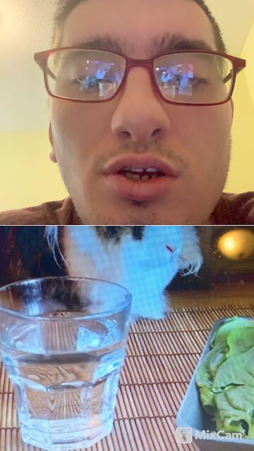 My reaction to cats eating Minecraft food