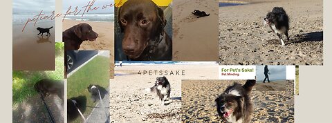 Pet care - Last week