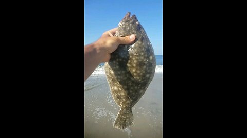 Flukin...