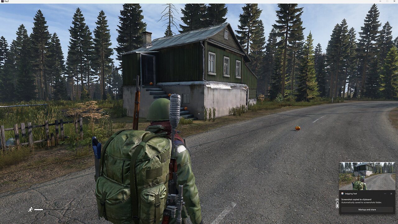 STREAM DAYZ THEN PUBG