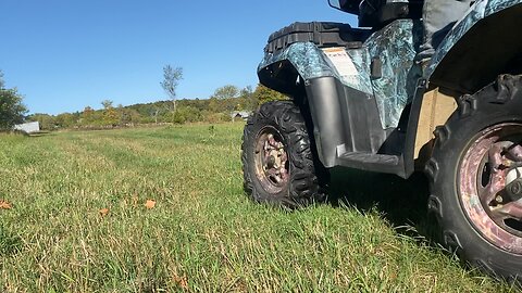 Future Homestead of 60 acres, of which 17 acres are mostly Sugar Maples & Cedar Ridge.