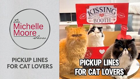 As Seen on The Michelle Moore Show: 'Pickup Lines For Cat Lovers' (Feb 13, 2026)