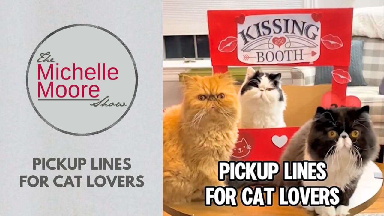As Seen on The Michelle Moore Show: 'Pickup Lines For Cat Lovers' (Feb 13, 2026)