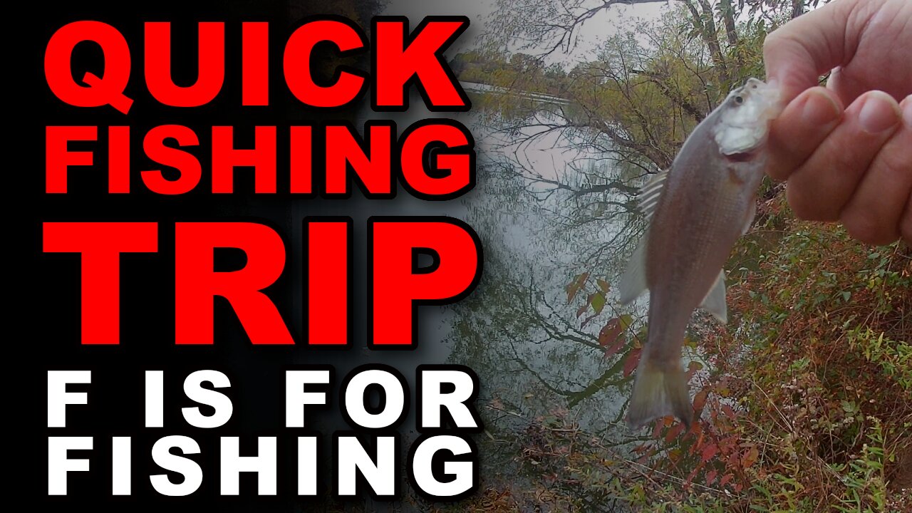 Quick Fishing Trip
