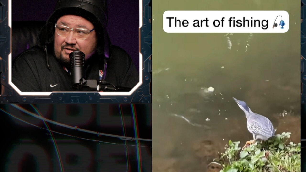 ⚠️REAl FISHING - Birds are learning as fast as HUMANS⚠️
