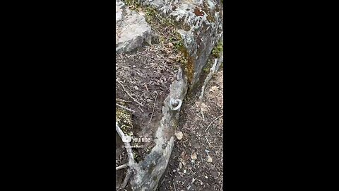 Natural Beauty #Subscribe #Upinalaska #Outdoors #Nature #Hiking #Camping #Creek #iPhone #fyp #trend