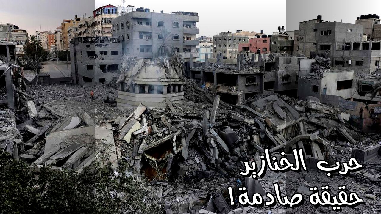 حروب غيّرت التاريخ: هل سمعت عن حرب "الخنازير"؟