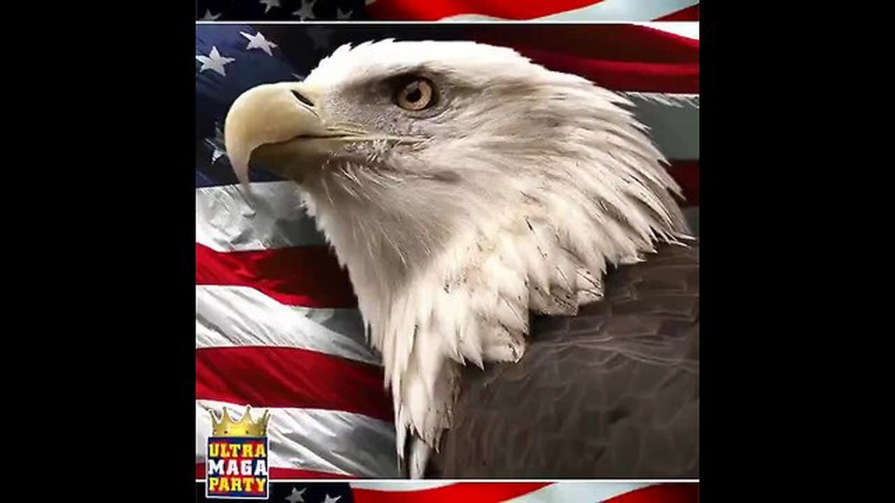 Josh Hawley hat 100% RECHT.