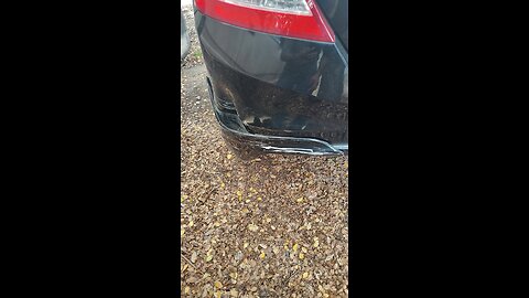 homeboy made a cave on my ish