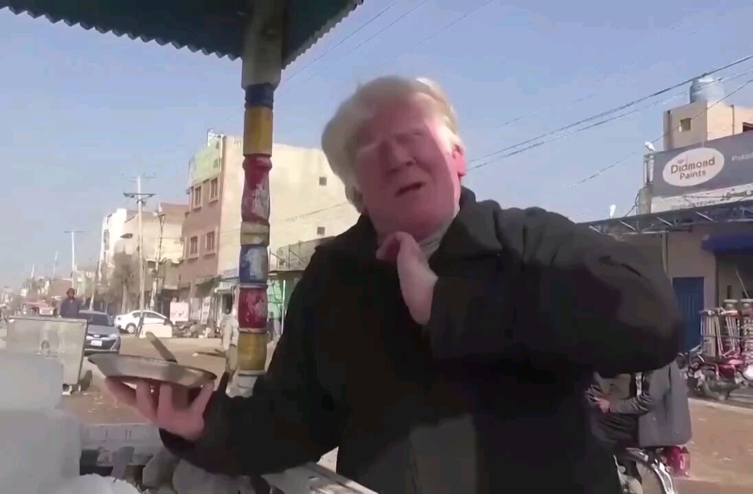 Donald Trump Temu Version