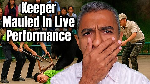 Black Bear Suddenly Mauls Its Keeper During a Live Show at Hangzhou Safari Park