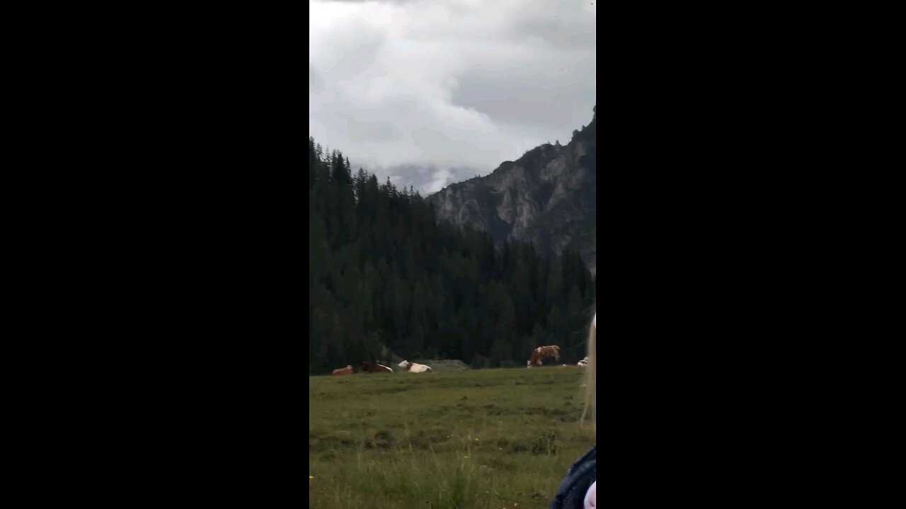 Somewhere in Poland
