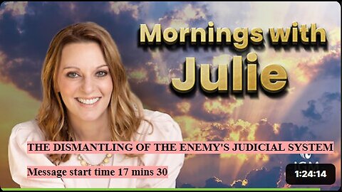 Julie Green subs THE DISMANTLING OF THE ENEMY'S JUDICIAL SYSTEM