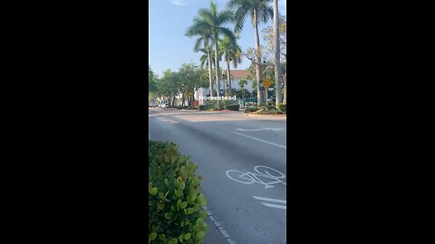 Homestead Florida Travel Guide: 5 Best Things To Do