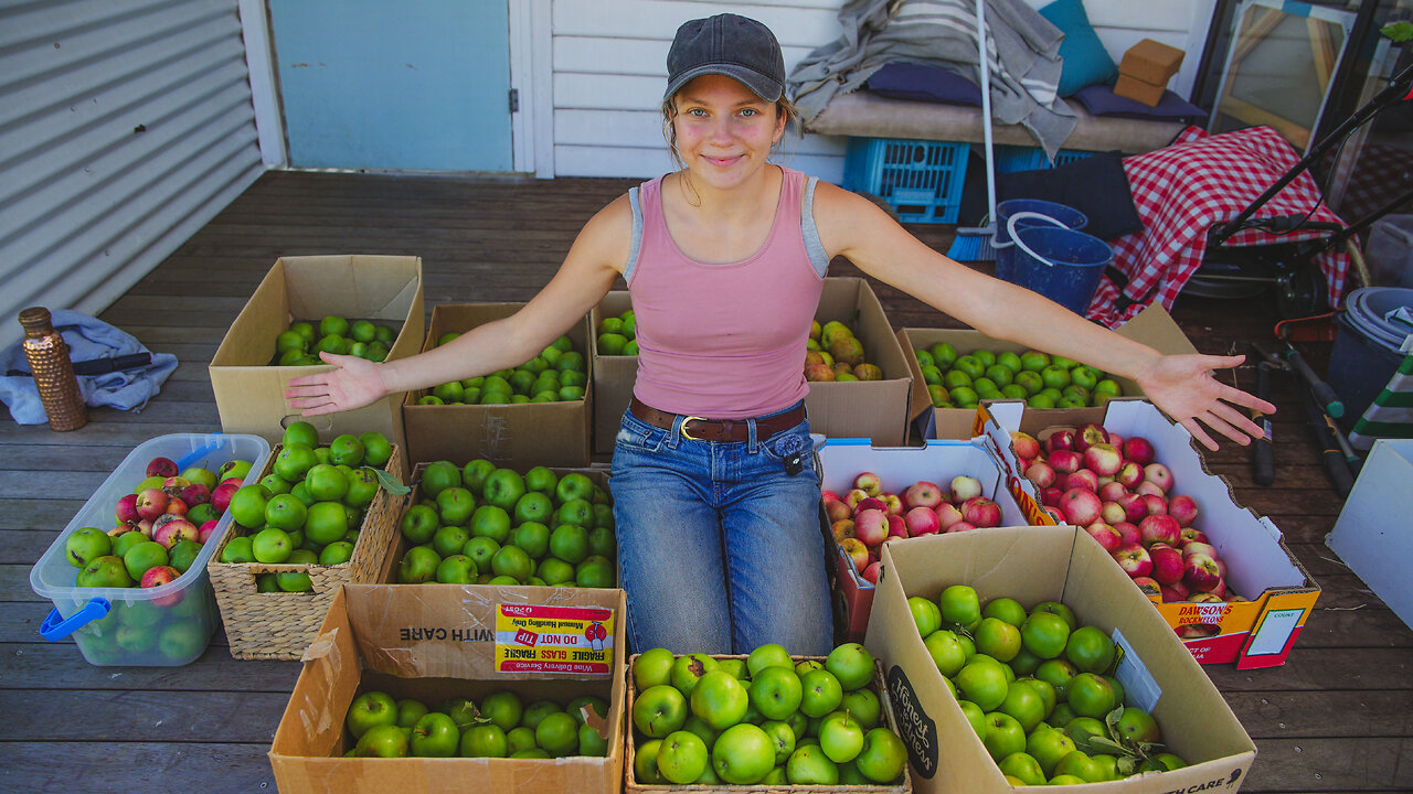 Autumnal Apples - Homestead Harvest