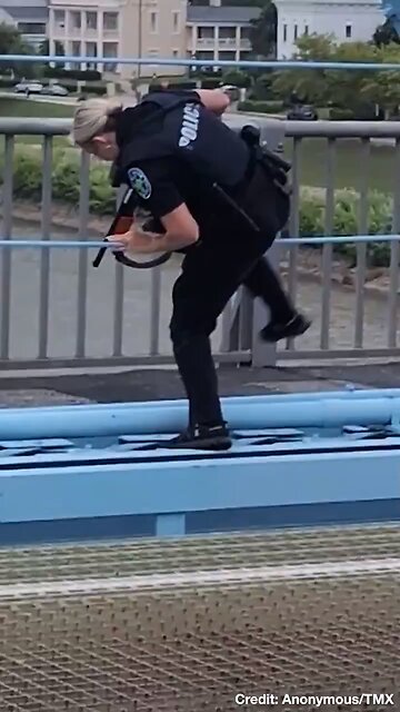 Kentucky ICE Protestors get Clobbered by Cops - Breitbart link below