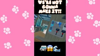 The Bridge We Absolutely Could Not Cross 🚐💀