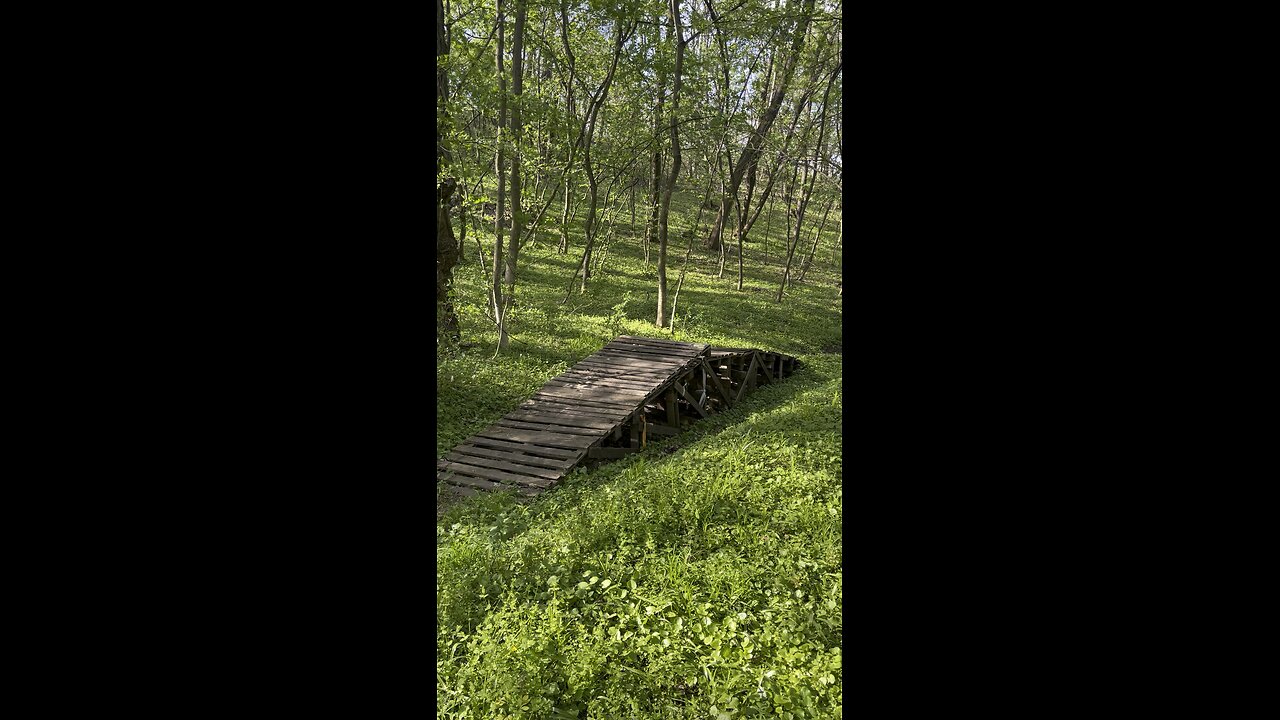 Forest trampolines
