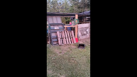 I spent $300 To build it my-birds hated it