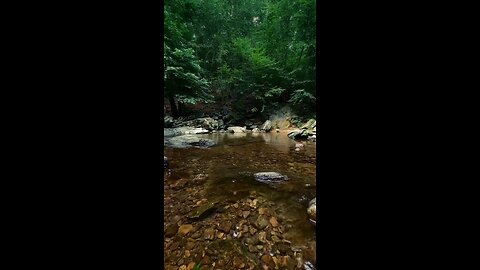 lovely nature