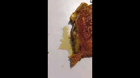 ස්වාභාවික මී පැණි Natural honey it's good benefits and very healthy