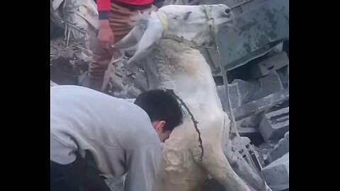 Heartbreaking Scene: