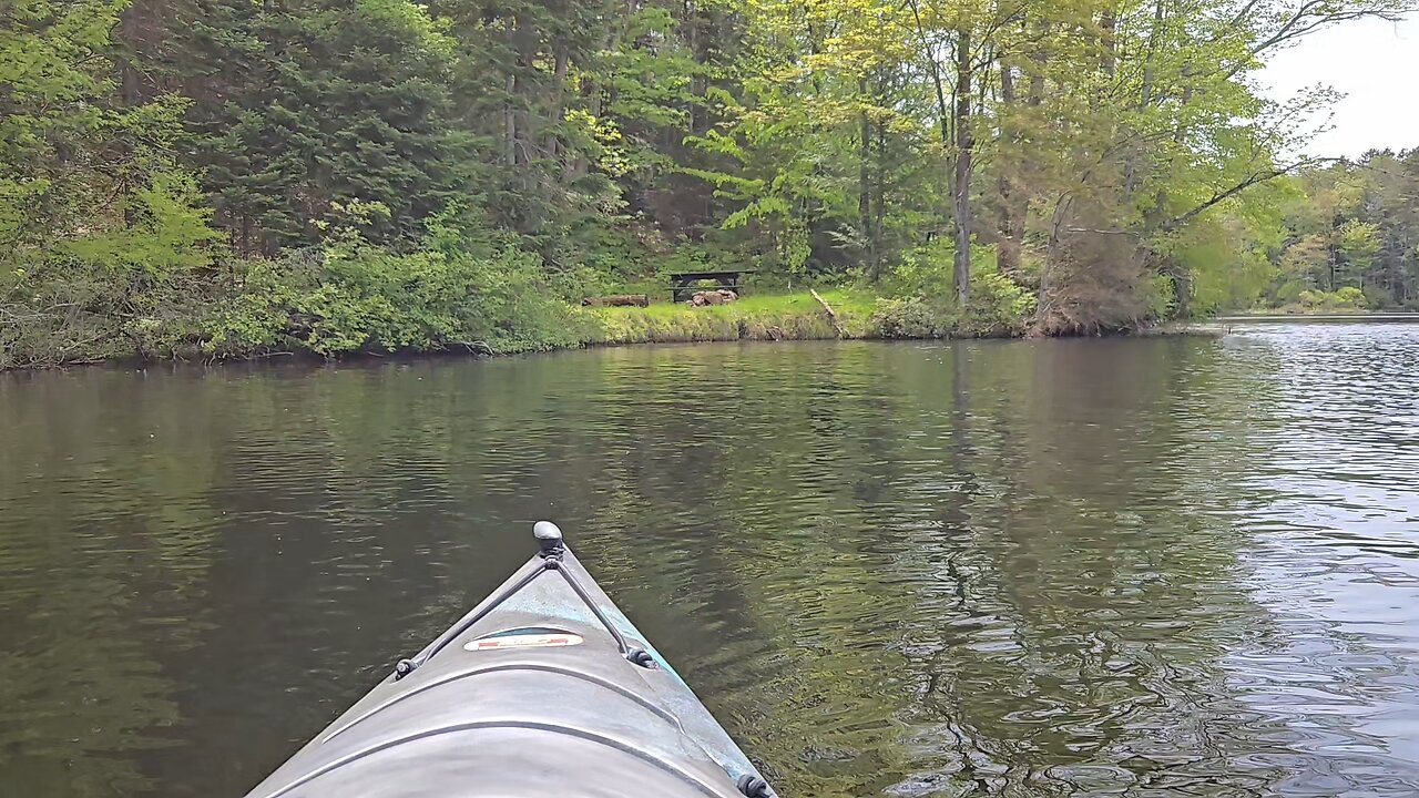 kayaking Stewart Landing