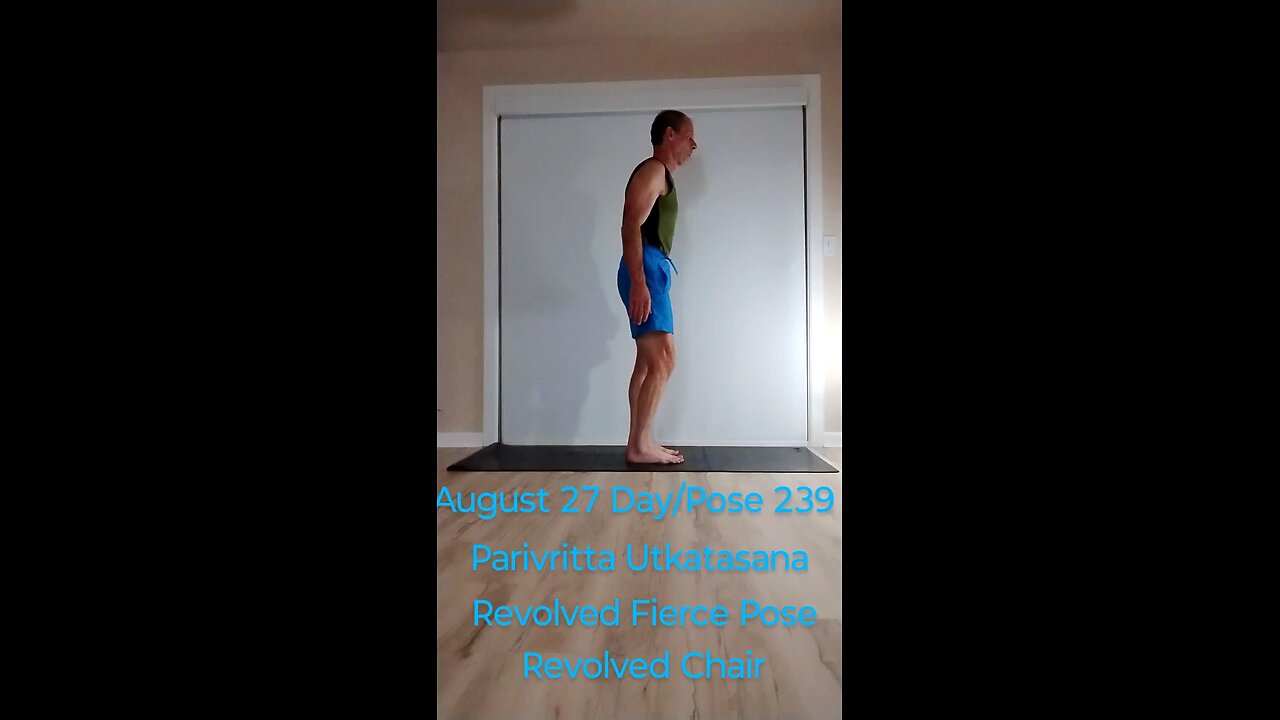 Parivritta Utkatasana / Revolved Chair /Revolved Fierce Pose