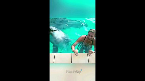 Funny Animals Compilation 🤣😂 #funnyanimals #pets #shorts