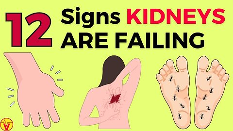 Could These 12 Bizarre Symptoms Mean Your Kidneys Need Help Now? VJ34
