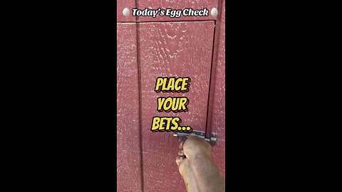 🥚 Today’s Egg Check! 🥚 #shorts