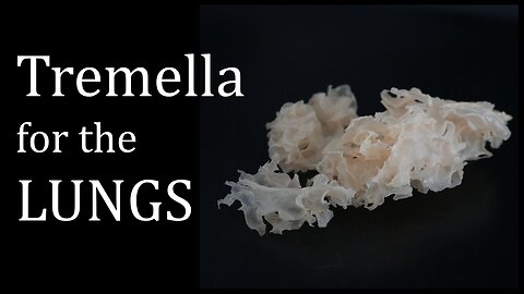 Tremella for the LUNGS