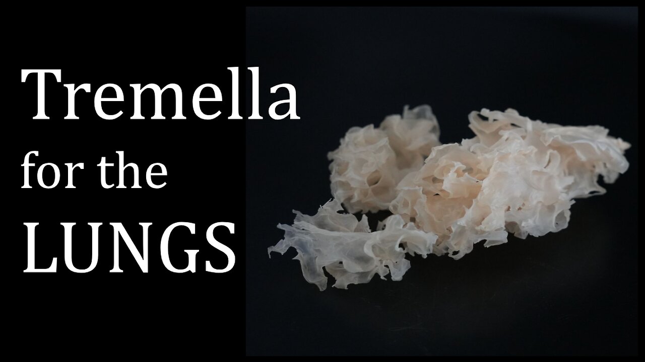 Tremella for the LUNGS