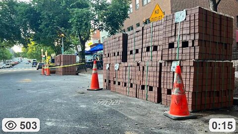 Why would the California Democratic Party Buy 200 Pallets of Bricks?