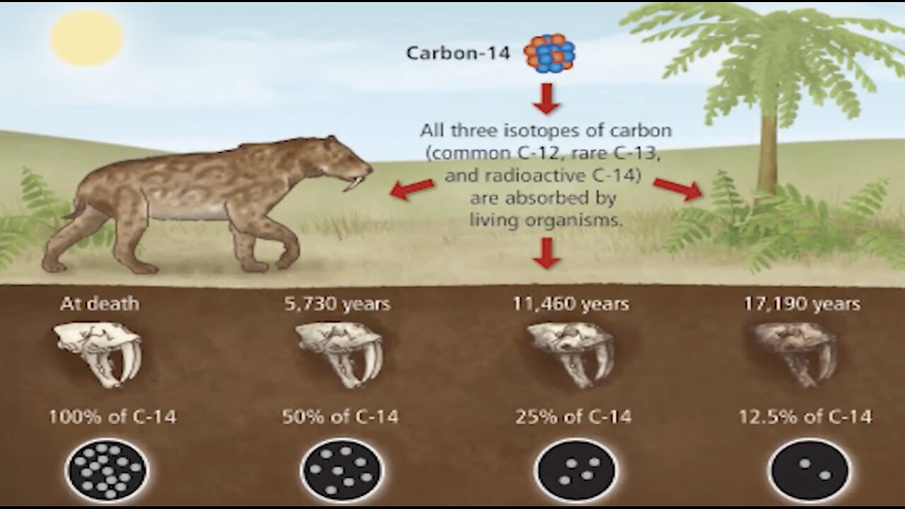 The Greatest Lie Ever Told - Evolution
