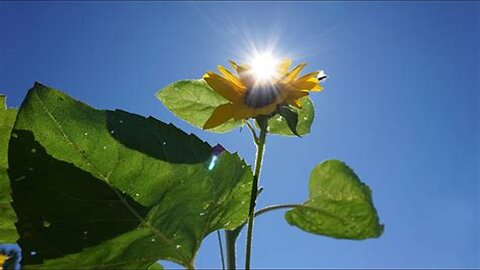 The Doors - Waiting for the Sun