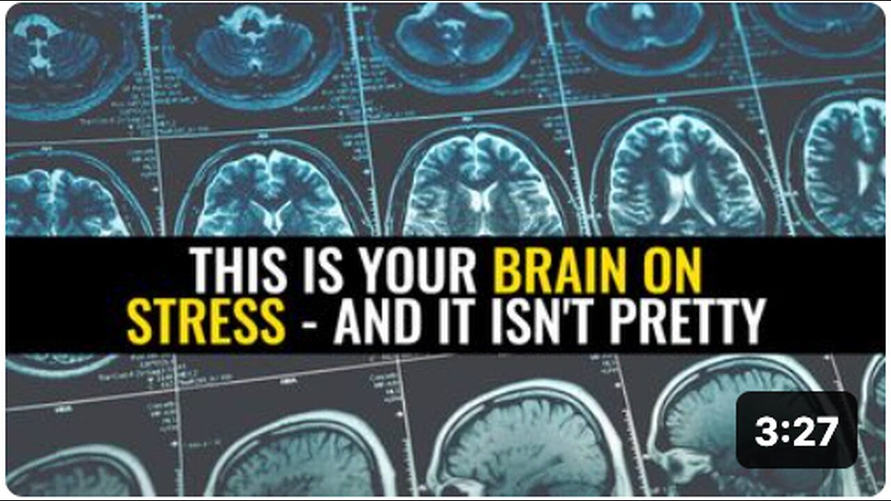 "The Impact of Stress on the Brain: A Disturbing Picture"