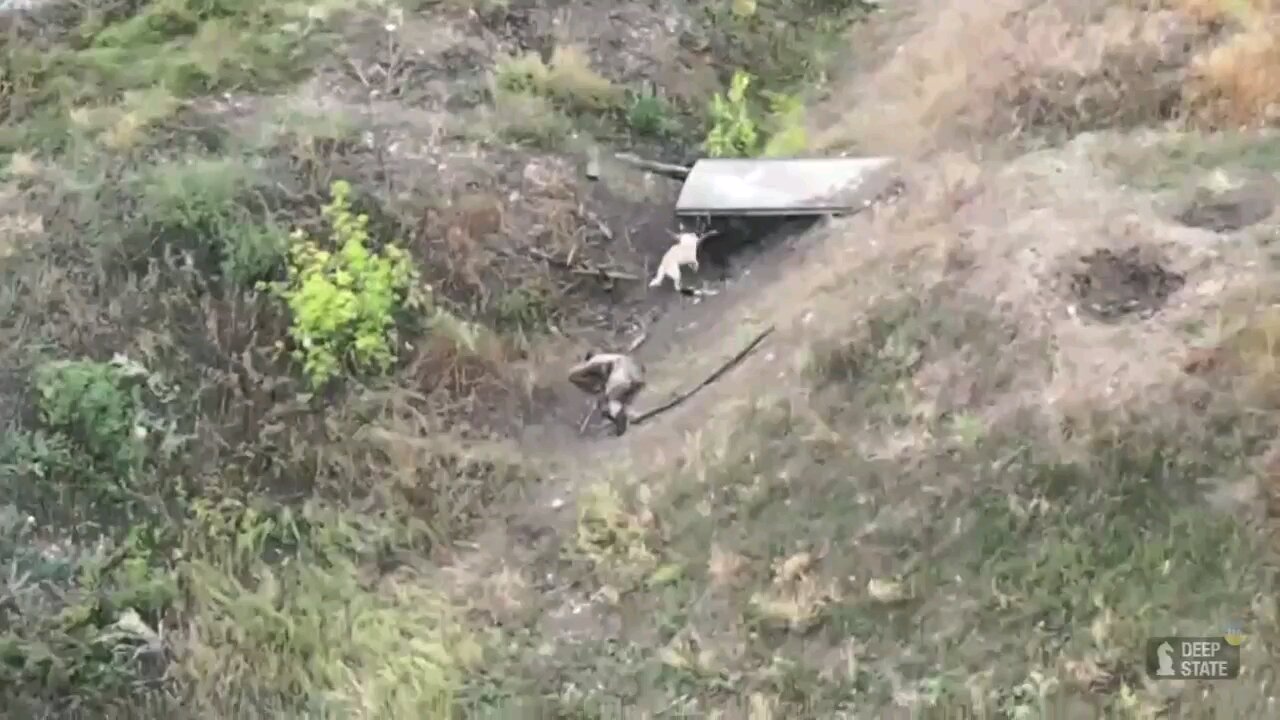 (Graphic) Russian soldier becoming dog food.
